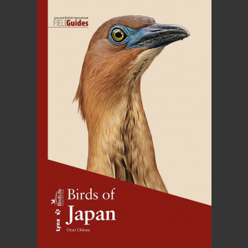 Birds of japan (Otami Chikara, 2019) Flexi
