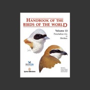 Handbook of the Birds of the world vol 13 (Hoyo ym. 2008)