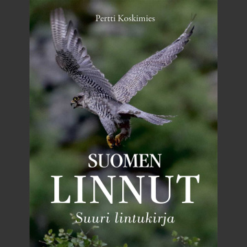 Suomen linnut - Suuri lintukirja ( Koskimies, P. 2022 )
