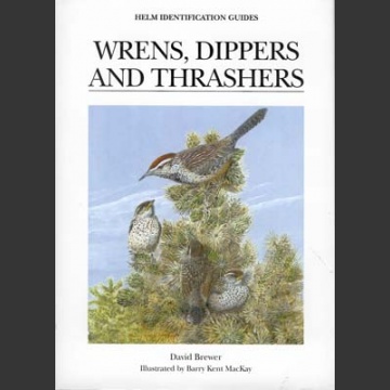 Wrens, Dippers and Thrashers (Brewer, D. ym. 2001)