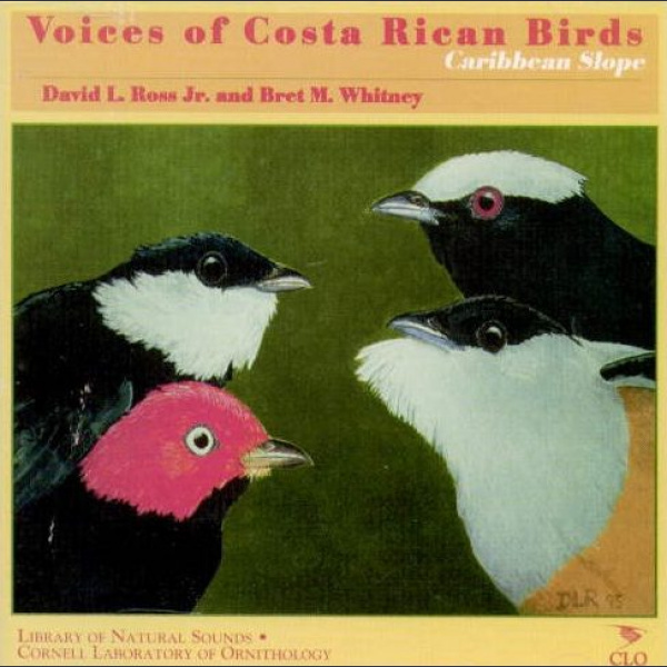 Voices of the Costa Rican Birds, Caribbean Slope