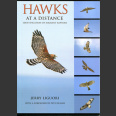 Hawks at distance (Liguori, J. 2011)