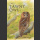 The Tawny Owl (Martin, Jeff 2022)