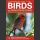 Photographic guide to the Birds of Indian Ocean Islands (Sinclair, I. ym. 2009)