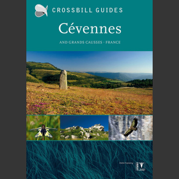 Crossbill Nature Guide Cevennes and Grands Causses – France (Dirk Hilbers 2015)