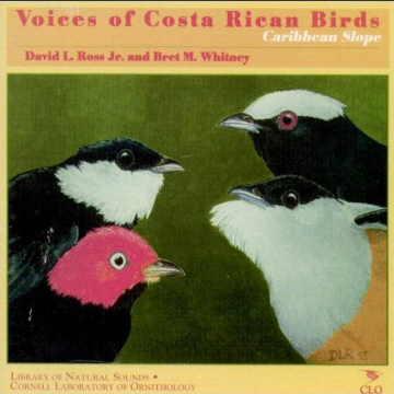 Voices of the Costa Rican Birds, Caribbean Slope