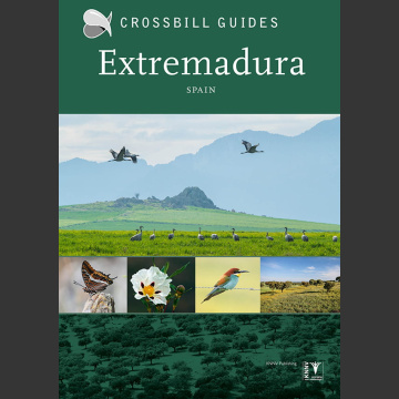 Crossbill Guide: Extremadura, Spain (Hilbers Kirk 2019)