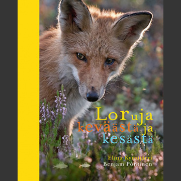 Loruja keväästä ja kesästä ( kynsijärvi, Pöntinen 2015 )