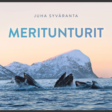 Meritunturit (Syväranta, Juha 2020)