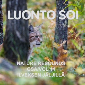 Luonto soi osa 14: Ilveksen jäljillä