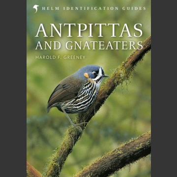 Antpittas and Gnateaters (Greeney, H. F., 2018)