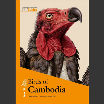 Birds of Cambodia (Cambodia Bird Guide Association, 2019) kovakantinen