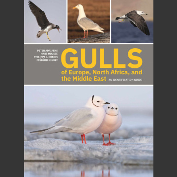 Gulls of Europe, North Africa, and the Middle East: An Identification Guide (Adriaens, P. 2021)