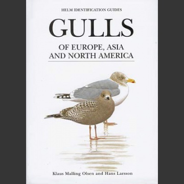 Gulls of Europe, Asia and North America (Olsen, K., M. 2003)