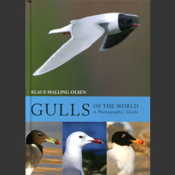 Gulls of the world (Malling Olsen, K. 2018)