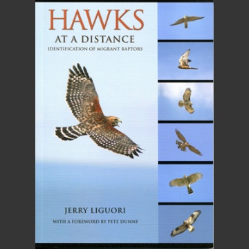 Hawks at distance (Liguori, J. 2011)