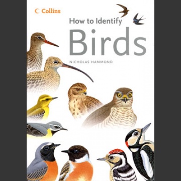 How to identify Birds (Hammond, N. 2006)