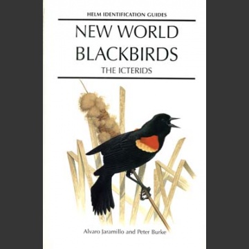 New World Blackbirds (Jaramillo, A. 1999)