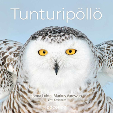 Tunturipöllö ( Koskimies, P., Luhta, J.,  Varesvuo, M., 2022)