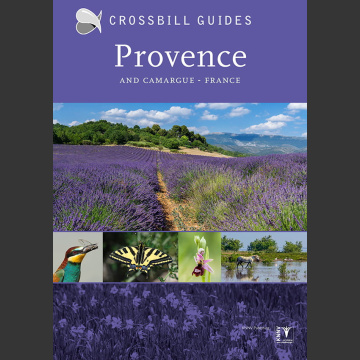 Crossbill Nature Guide Provence and Camargue – France (Dirk Hilbers ym 2020)