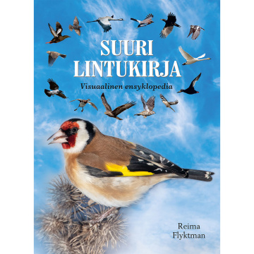 Suuri lintukirja - Visuaalinen ensyklopedia (Reima Flyktman 2023 )