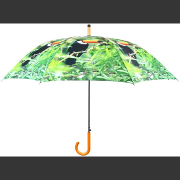 Lintuaiheinen sateenvarjo TP178 tukaani