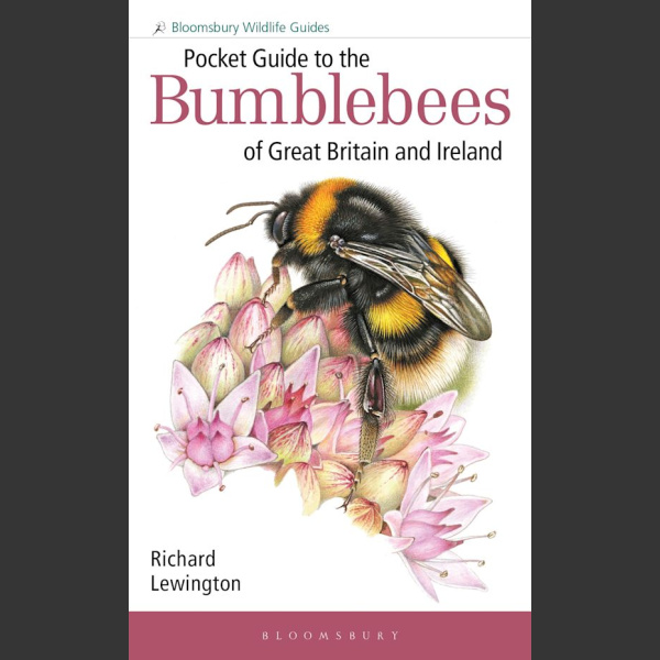 Pocket Guide to the Bumblebees of Great Britain and Ireland ( Richard Lewington 2023)