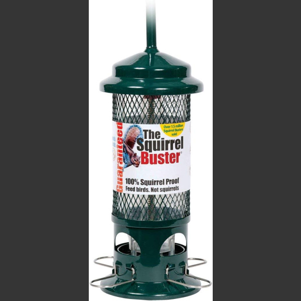 Ruokinta-automaatti Squirrel Buster standard