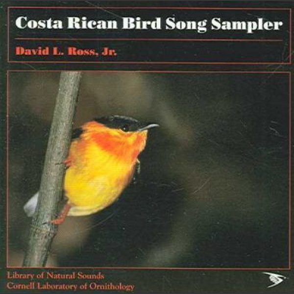 Costa Rican Bird Song sampler