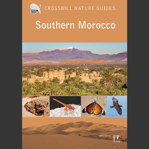 Crossbill Nature Guide Southern Morocco 2023