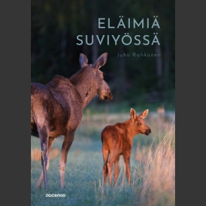 Eläimiä suviyössä (Rahkonen Juho 2020)