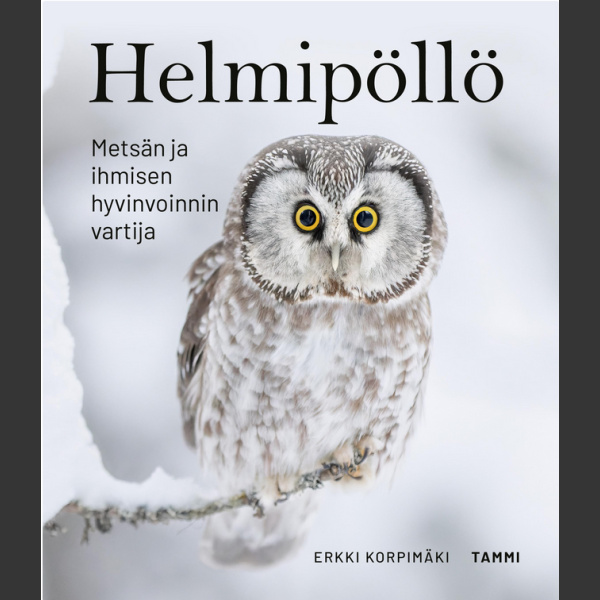 Helmipöllö, Korpimäki E. 2023