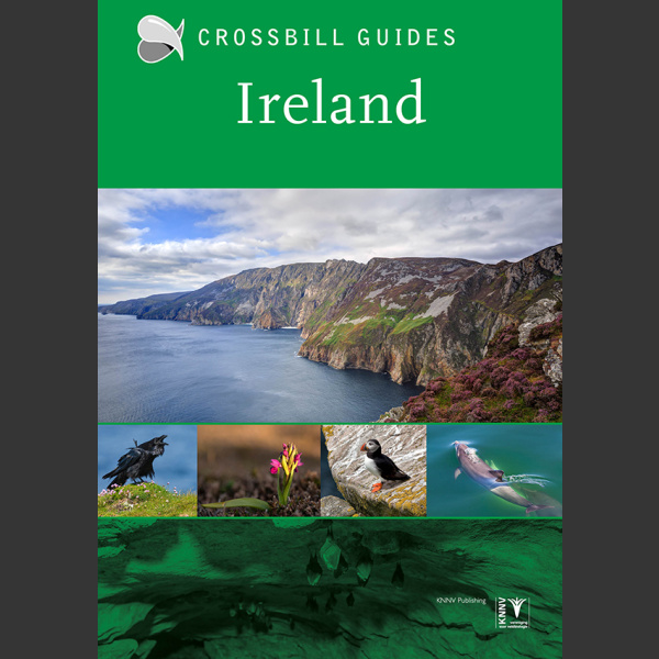 Crossbill Guide: Ireland (Carsten Krieger 2022)