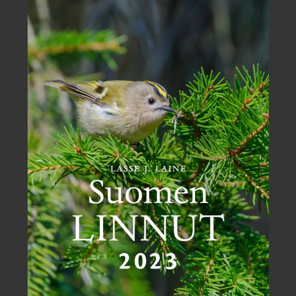 Suomen linnut seinäkalenteri 2023, Lasse J. Laine