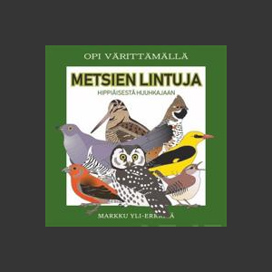 Metsien lintuja (värityskirja) : opi värittämällä