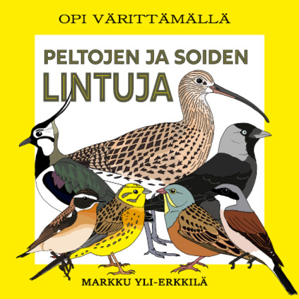 Peltojen ja soiden lintuja (värityskirja) : opi värittämällä