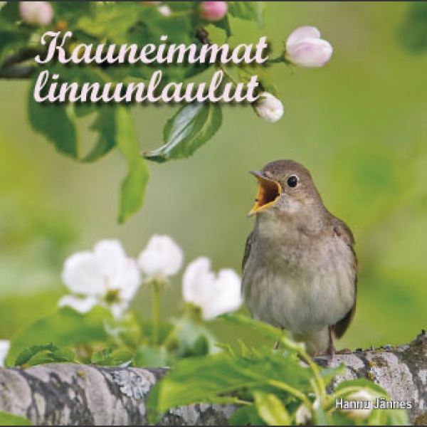 Kauneimmat linnunlaulut; Jännes