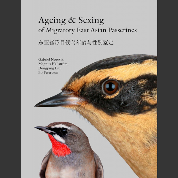Ageing and Sexing of East Asian Passerines (Norevik, G., Hellström, M., Liu, D & Petersson, B. 2020)