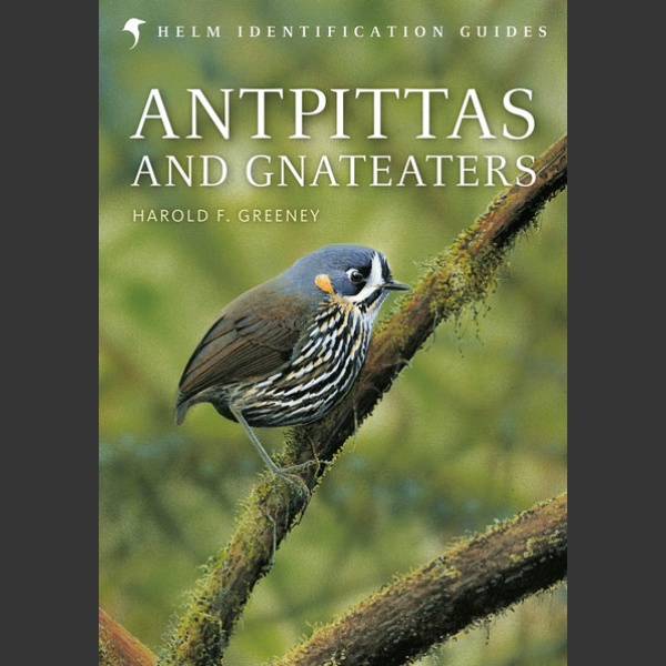 Antpittas and Gnateaters (Greeney, H. F., 2018)