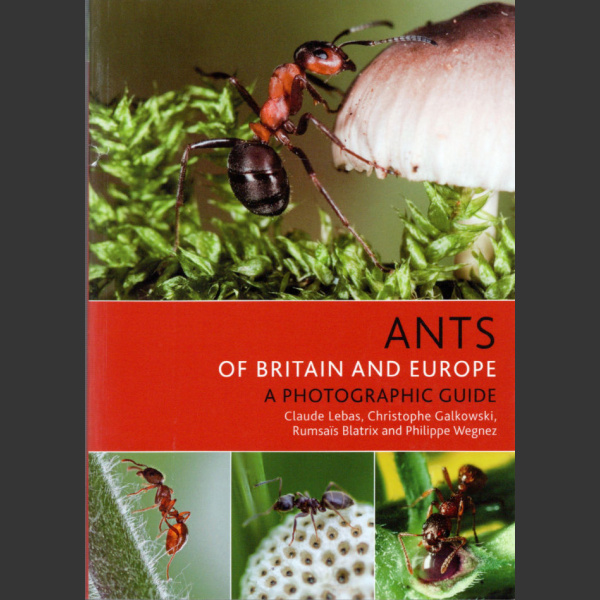 Ants of Britain and Europe, Photographic Guide (Lebas, C. ym. 2019)
