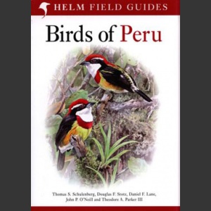 Birds of Peru (Schulenberg, T. S. ym. 2007)