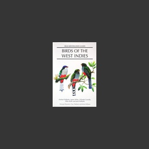 Birds of West Indies (Raffaele, H. 1998)