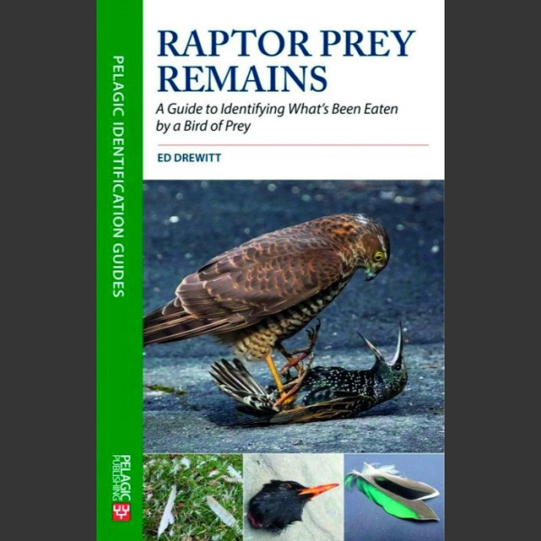 Raptor Prey Remains. A Guide to Identifying What’s Been Eaten by A Bird of Prey (Drewitt) 2020