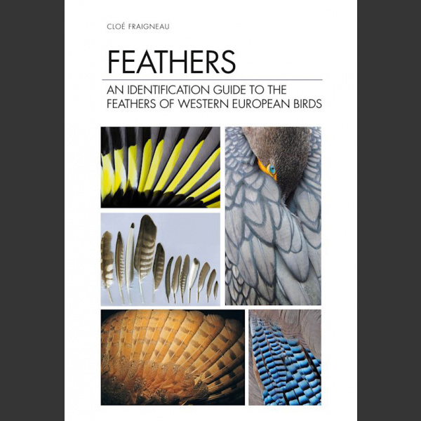 Feathers, An Identification Guide to the Feathers of Western European Birds (Cloé Fraigneau, 2022)