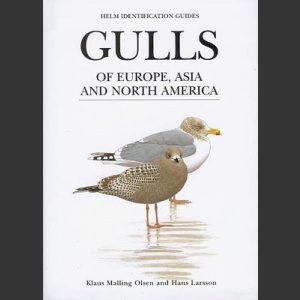 Gulls of Europe, Asia and North America (Olsen, K., M. 2003)
