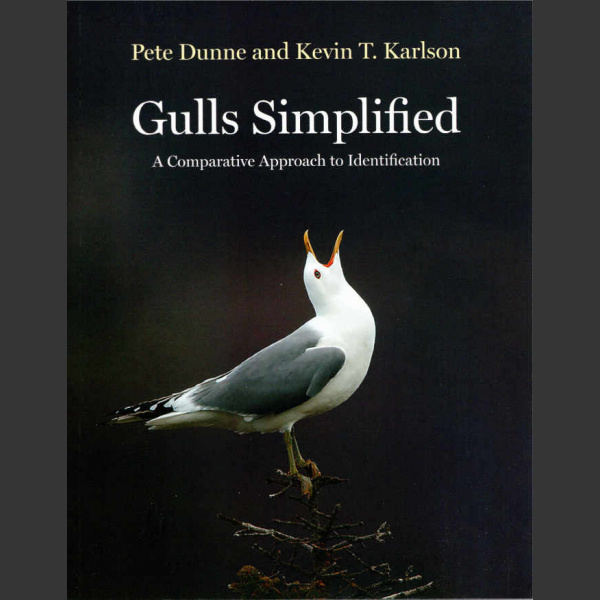 Gulls Simplified (Dunne, P. and Karlson, K. T. 2019)