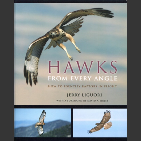 Hawks from every angle (Liguori, J. 2005)