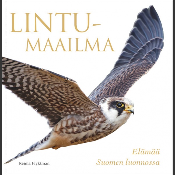 Lintumaailma, Elämää Suomen luonnossa