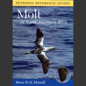Molt in North American Birds (Howell, S. N. G. 2010)