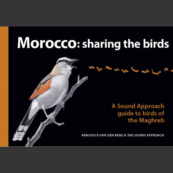 Morocco Sharing the Birds (Arnoud B van den Berg & The Sound Approach, 2020)